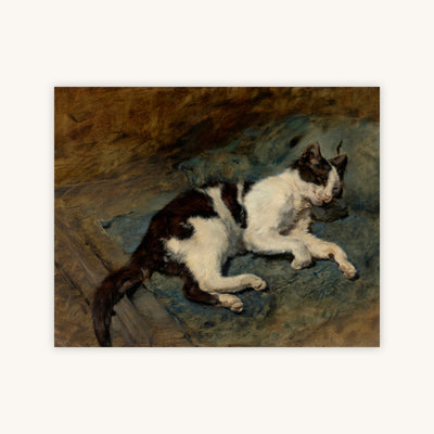 SLEEPING CAT — Primary Image