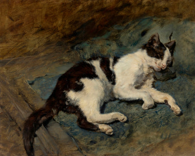 Sleeping Cat