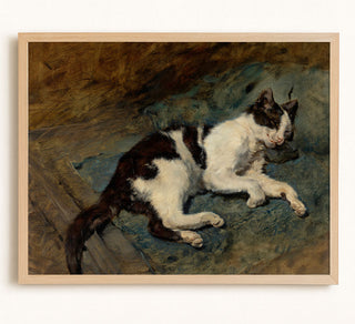 Sleeping Cat