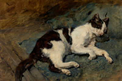 SLEEPING CAT art print - Museum Quality Art