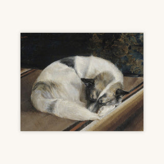 SLEEPING DOG — Primary Image