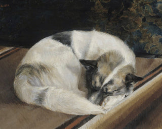 SLEEPING DOG