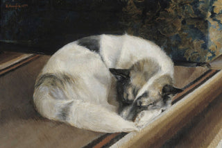 SLEEPING DOG