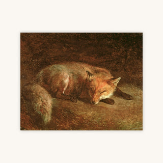 SLEEPING FOX — Primary Image