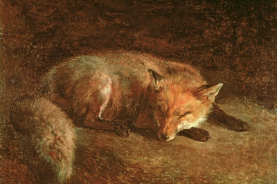SLEEPING FOX