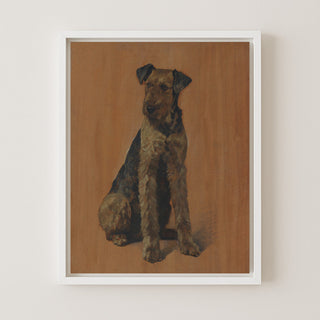 Snapps an Airedale Terrier