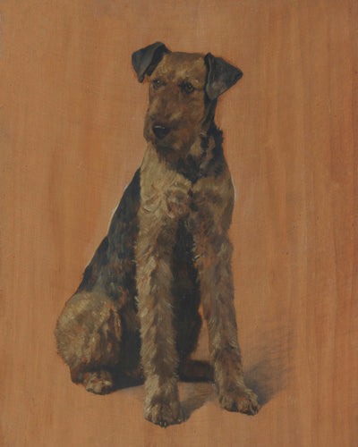 SNAPPS AN AIREDALE TERRIER - Museum Quality Art
