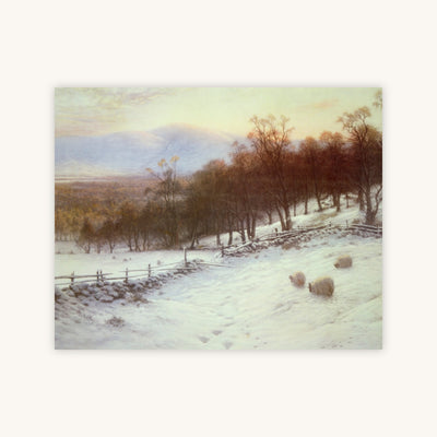 SNOW-COVERED FIELDS WITH SHEEP — Primary Image