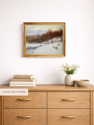 Snow-Covered Fields With Sheep