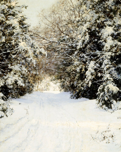 SNOW-LADEN TREES