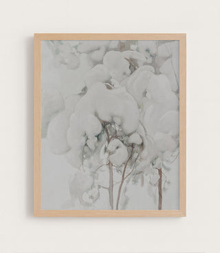 Snow Pine II
