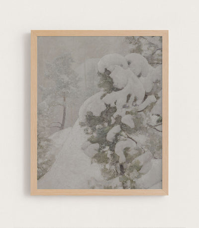 Snow Pine I