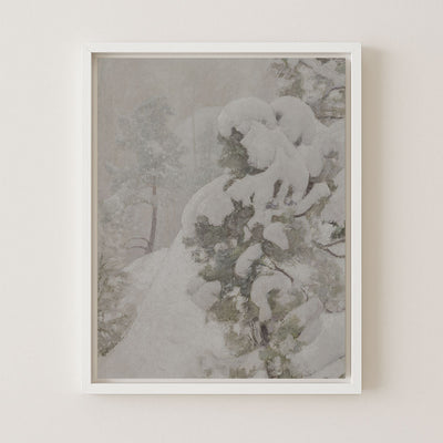 Snow Pine I