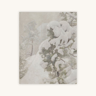 SNOW PINE I — Primary Image