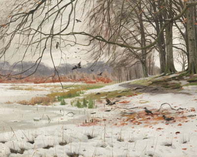 Snowy Landscape
