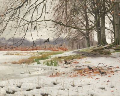 Snowy Landscape