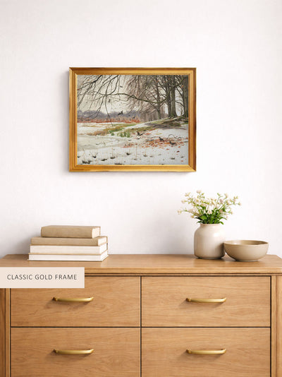 Snowy Landscape