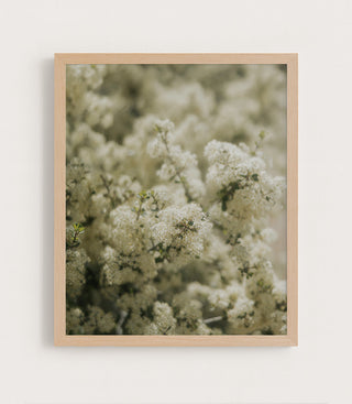 Soft Bloom
