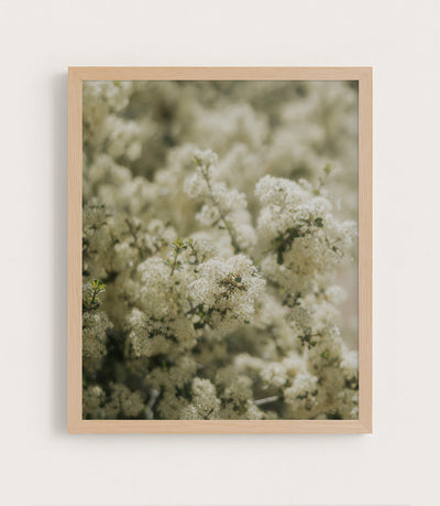 Soft Bloom