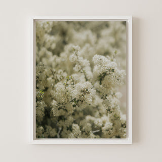Soft Bloom