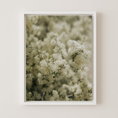 Soft Bloom