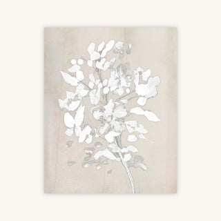 SOFT BLOOM — Primary Image