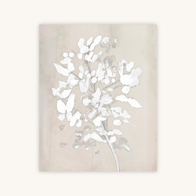 SOFT BLOOM — Primary Image