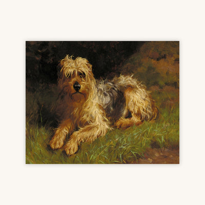 SOFT COATED WHEATEN TERRIER — Primary Image