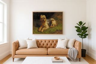 Soft Coated Wheaten Terrier