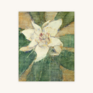 SOUTHERN MAGNOLIA — Primary Image