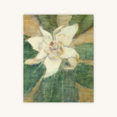 SOUTHERN MAGNOLIA — Primary Image