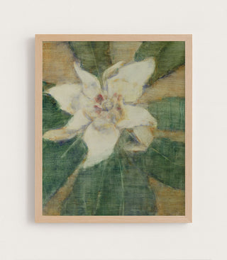 Southern Magnolia