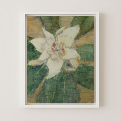 Southern Magnolia