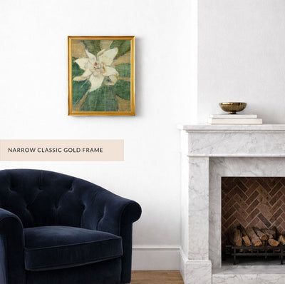 Southern Magnolia