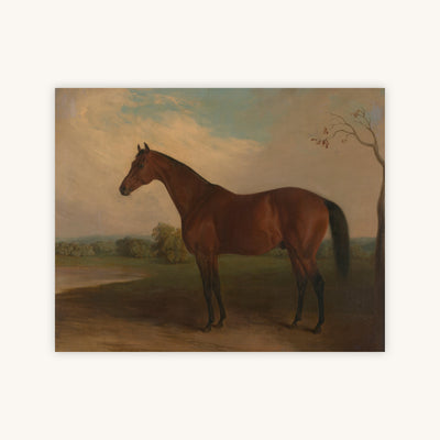 SOVEREIGN — Primary Image