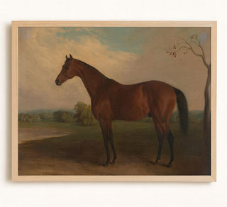 Sovereign