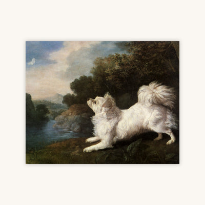 SPANIEL CHASING A BUTTERFLY — Primary Image