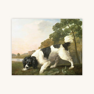 SPANIEL IN A LANDSCAPE — Primary Image