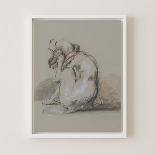 Spaniel