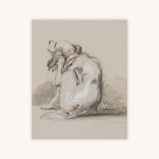 SPANIEL — Primary Image