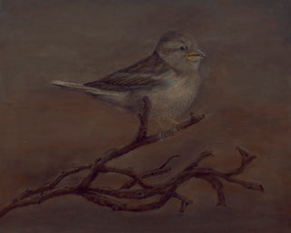 Sparrow's Song