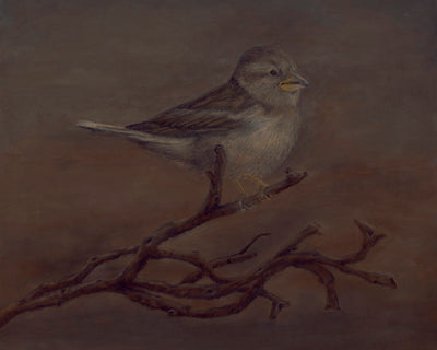 Sparrow&