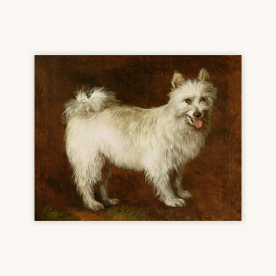 SPITZ DOG — Primary Image