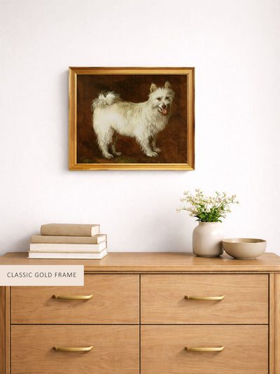 Spitz Dog