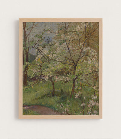 Spring Approaches