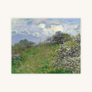 SPRING — Primary Image
