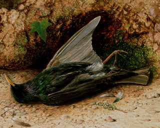 STARLING - Museum Quality Art