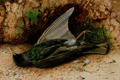 STARLING - Museum Quality Art