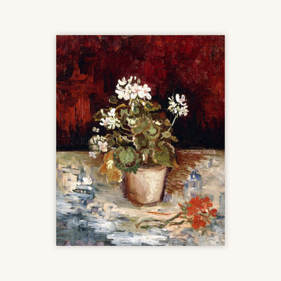 STILL LIFE POT OF GERANIUMS — Primary Image