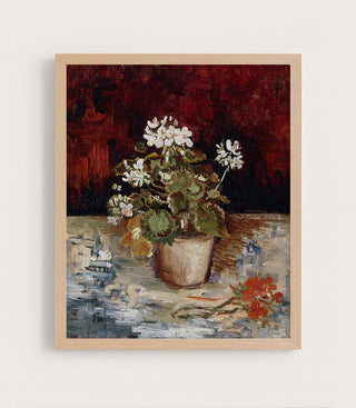 STILL LIFE POT OF GERANIUMS